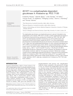 All1371 is a polyphosphate-dependent glucokinase
