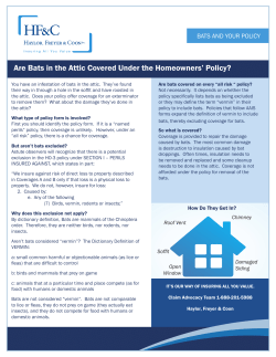 Are Bats in the Attic Covered Under the Homeowners` Policy?