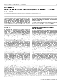 Molecular mechanisms of metabolic regulation by insulin in