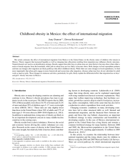 Childhood obesity in Mexico: the effect of international migration