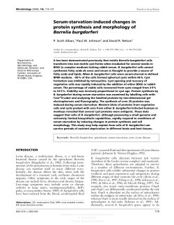 Serum-starvation-induced changes in protein synthesis and