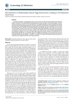 Peer-reviewed Article PDF