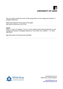 New perspectives on the ecology and evolution of siboglinid