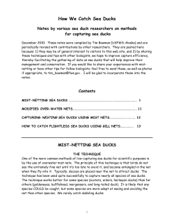 To Catch a Sea Duck PDF - Sea Duck Joint Venture