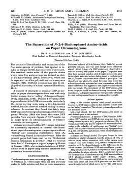 The Separation of N-2:4-Dinitrophenyl Amino