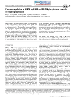 Phospho-regulation of KIBRA by CDK1 and CDC14 phosphatase