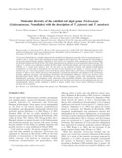 Diversity and distribution of marine macro