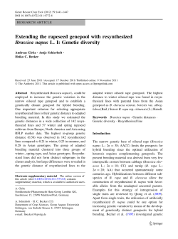 Extending the rapeseed genepool with resynthesizedBrassica