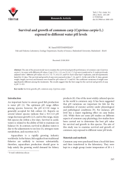 Survival and growth of common carp (Cyprinus