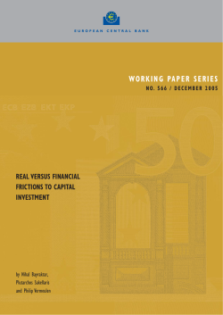 Real versus financial frictions to capital investment