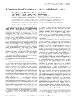 Catenin regulates differentiation of respiratory