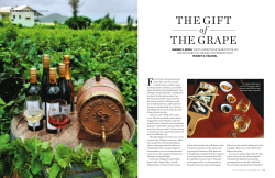 the gift the grape - Soma Vine Village