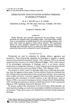 nematocyst inactivation during feeding in hydra littoraus