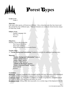 Forest Types - Opening New Caledonia