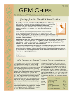 GEM Chips - AAUW Asheville