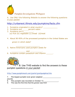 Pumpkin Investigations Webquest