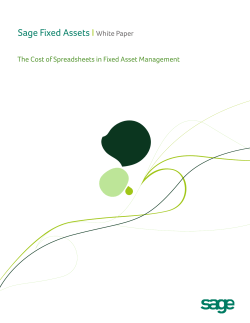 The Cost of Spreadsheets in a Fixed Asset