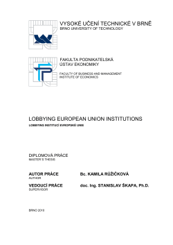 LOBBYING EUROPEAN UNION INSTITUTIONS