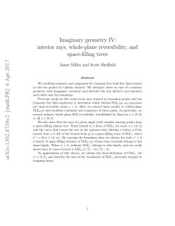 Imaginary geometry IV: interior rays, whole