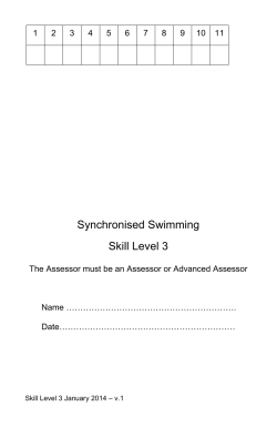 Skill level 3