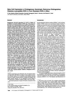 Beta Cell Expression of Endogenous Xenotropic Retrovirus