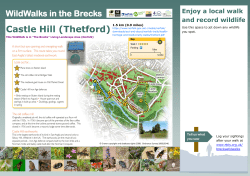 Castle Hill (Thetford) 1.5 km (0.9 miles)