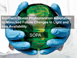 Southern Ocean Pythoplankton Adaptation