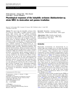 Physiological responses of the halophilic archaeon Halobacterium