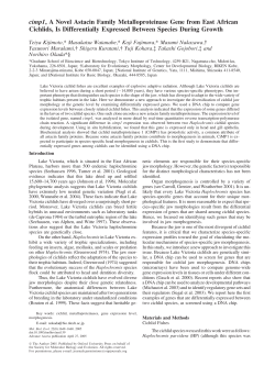 cimp1, A Novel Astacin Family Metalloproteinase Gene from East