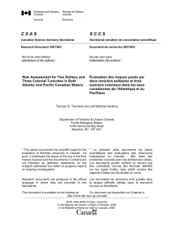 Risk Assessment