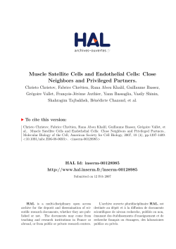 Muscle Satellite Cells and Endothelial Cells: Close Neighbors and