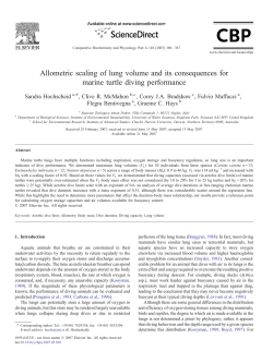 Allometric scaling of lung volume and its consequences for marine