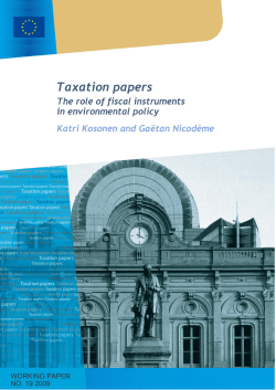 The role of fiscal instruments in environmental policy