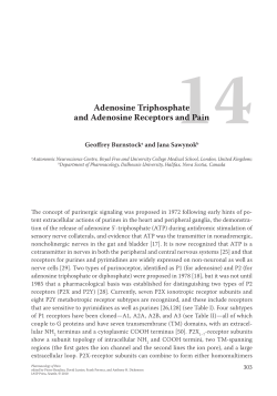 ATP and adenosine receptors and pain. In