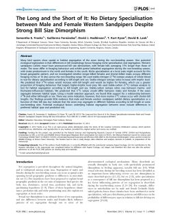 The Long and the Short of It: No Dietary Specialisation between