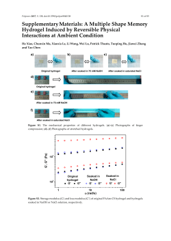 PDF-Document