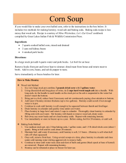 Corn Soup