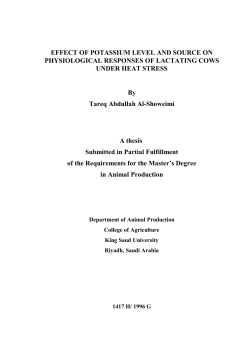 T.thesis