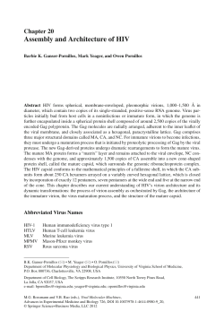 Here - The University of Texas at Dallas