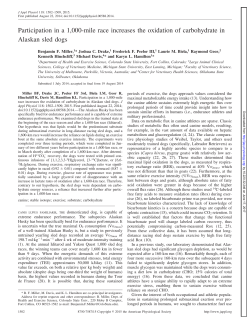 Participation in a 1,000-mile race increases the oxidation of