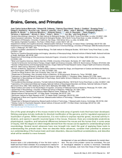 Brains, Genes, and Primates