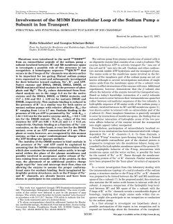 Involvement of the M7/M8 Extracellular Loop of the Sodium Pump