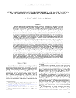 17. the caribbean carbonate crash
