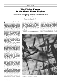 The Piping Plover in the Great Lakes Region