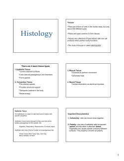 There are 4 basic tissue types
