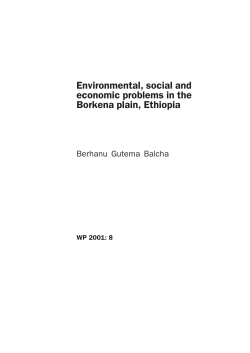 Environmental, social and economic problems in the Borkena plain