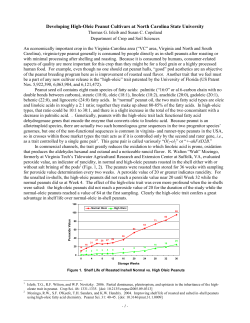 Developing High Oleic Virginia-type Cultivars