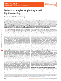 Natural strategies for photosynthetic light harvesting