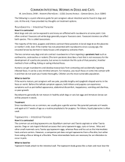 Common Intestinal Worms in Dogs and Cats