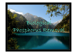 Biological Phosphorus Removal
